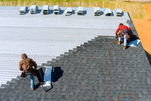 Best Metal Roofing Installation  in La Luz, NM
